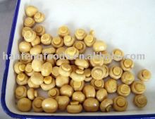 whole canned mushroom