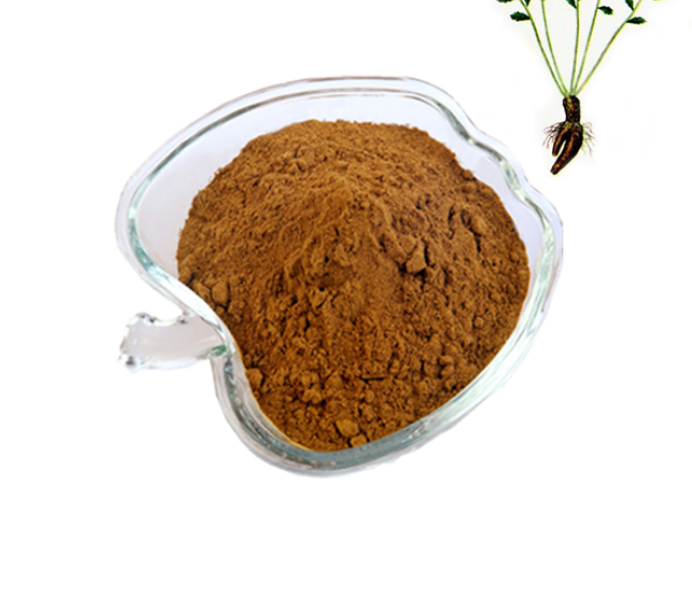 Aanvoer 1%-10% Rhodiola sachalinensis A.Bor. Extract poeder