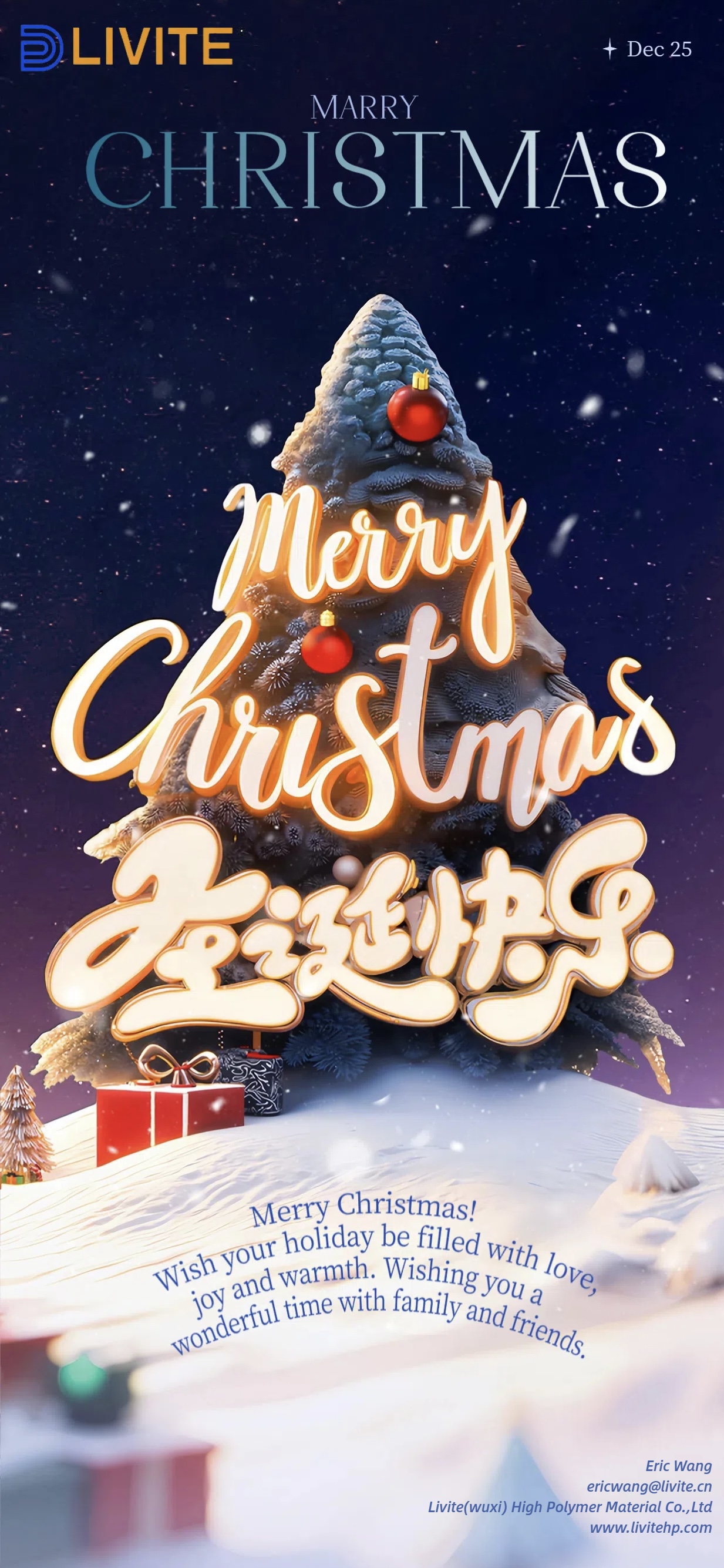 Christmas Card Christmas Card