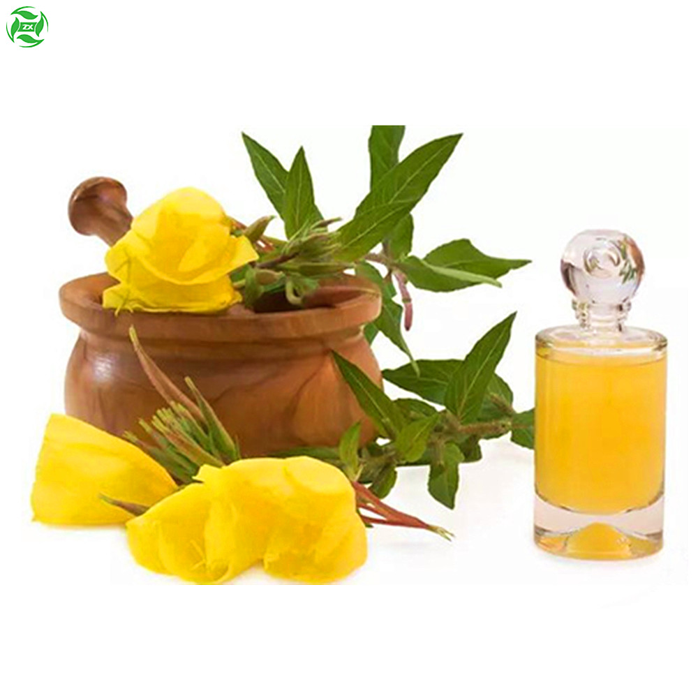 Cold Pressing Evening Primrose Oil Cosmetic Carrier Oil