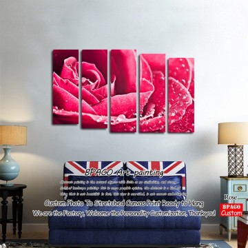 Modern flower oil paintings by numbers on canvas whosale