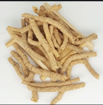 Top Quality Polygalae Radix