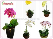 Real touch flowers artificial butterfly orchid bonsai plants