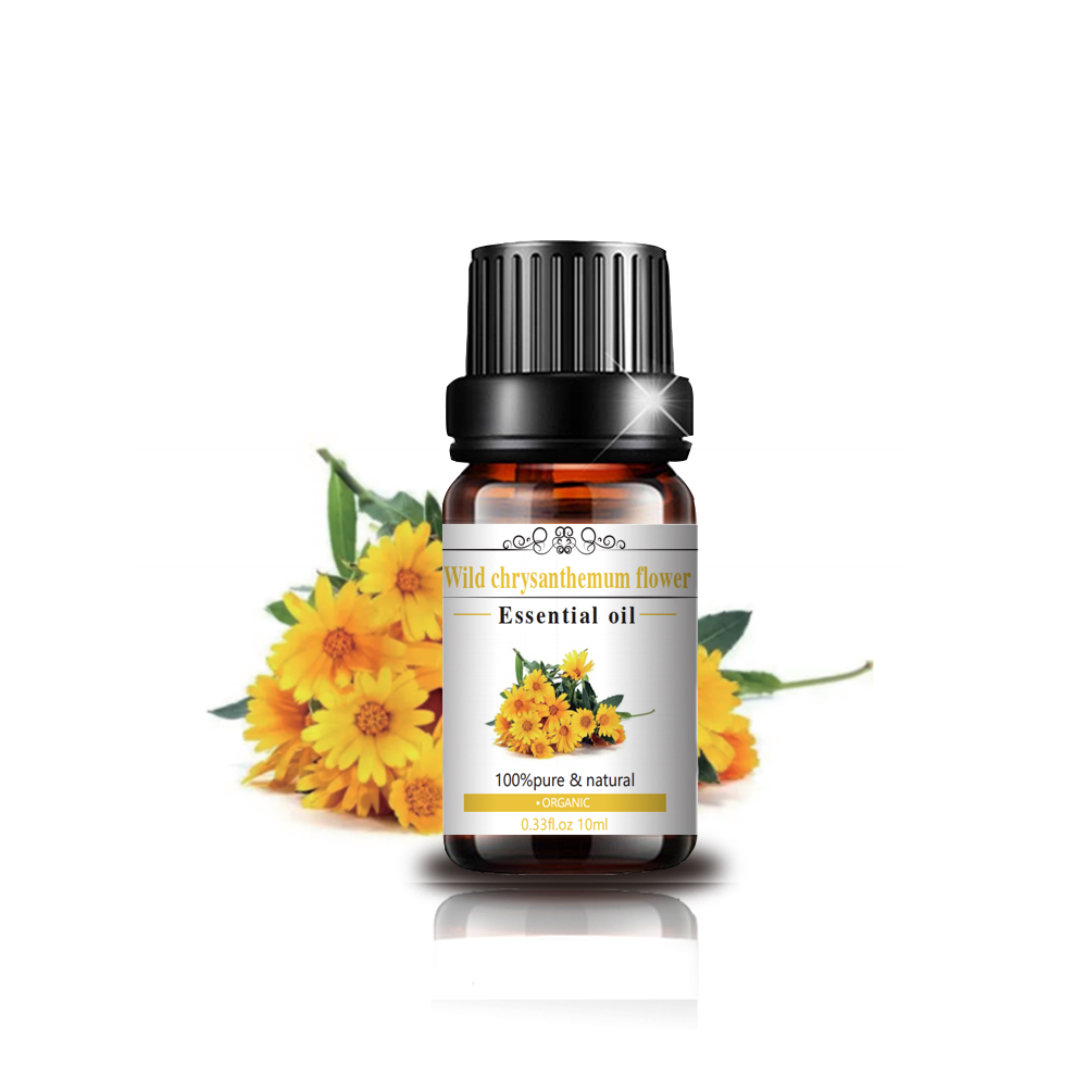 Mejor calidad Pure Natural Wild Crysanthemum Oil Flower Flower