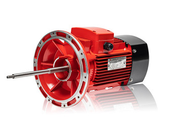 Customized water pump motor