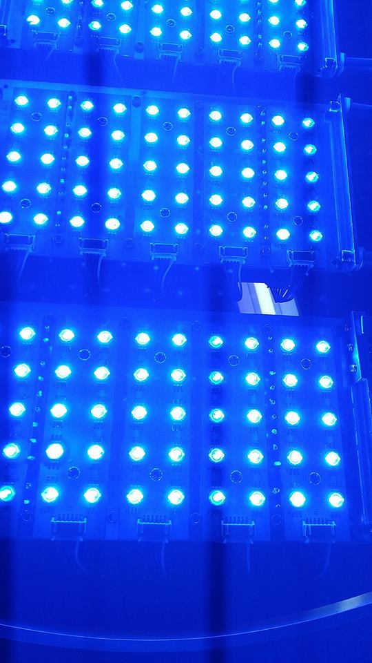 Red and Blue Light Phototherapy System