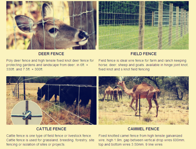 Surrounding type metal fence for grassland/animal fence /field fence attractive appearance