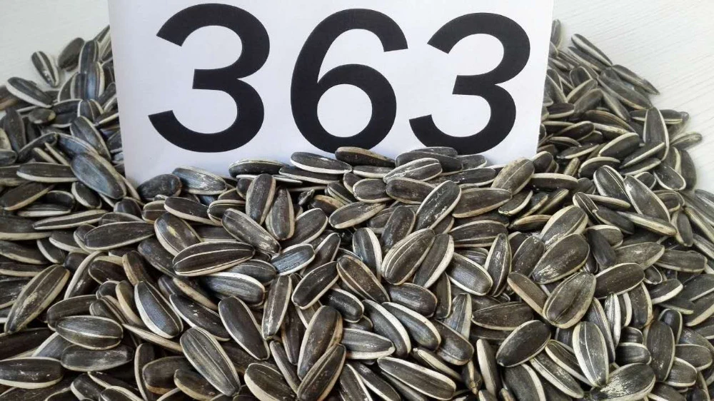 New Crop Best Quality 2021 Sunflower Seeds