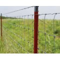 Green Barbed Wire Farm Fence Spade T Post