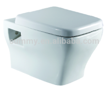 Washdown wall hung toilet