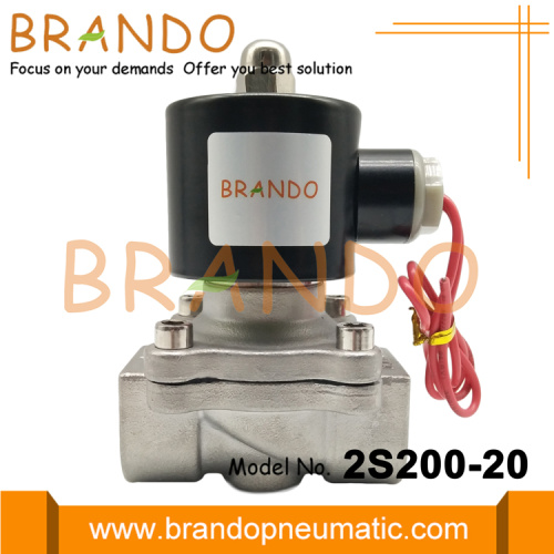 2S200-20 Paslanmaz Çelik Solenoid Valf