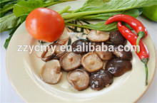 2840g Easy open Canned Shiitake Mushroom Whole