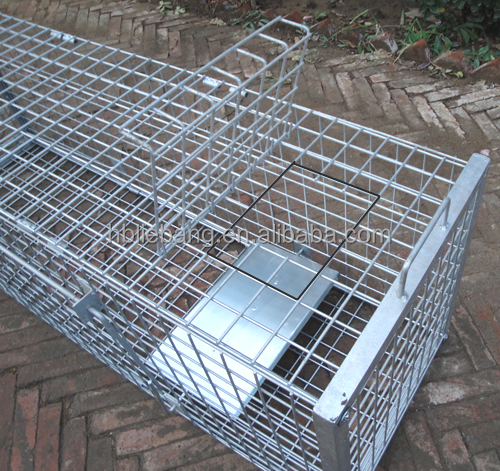 Liebang Humane Hunting Live Animal Cage Traps For Large Pest Animals Animal Control Fox Wildboar Cage Trap