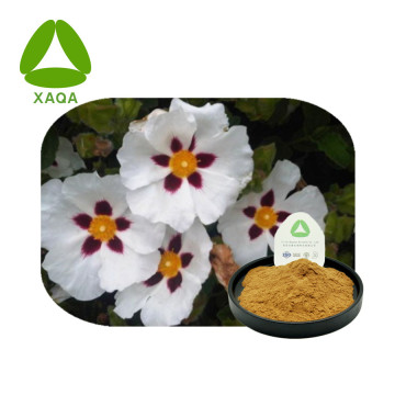 Экстракт Rock Rose Extract Cistus criticus polyphenols 10: 1 порошок