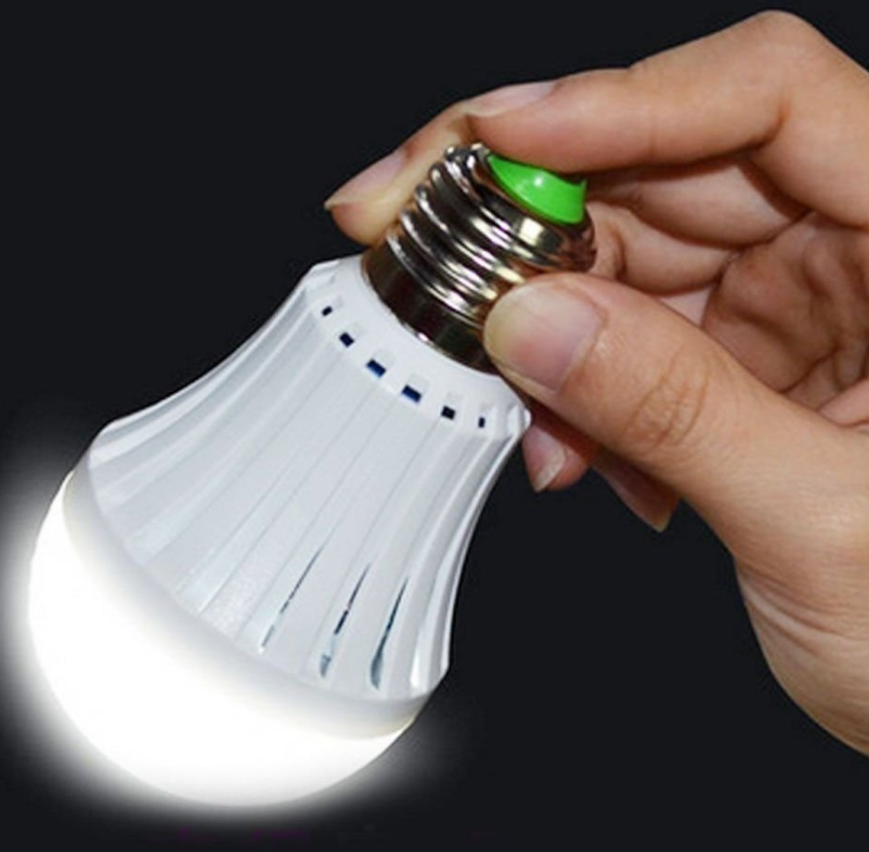 9w Portable Light Bulb