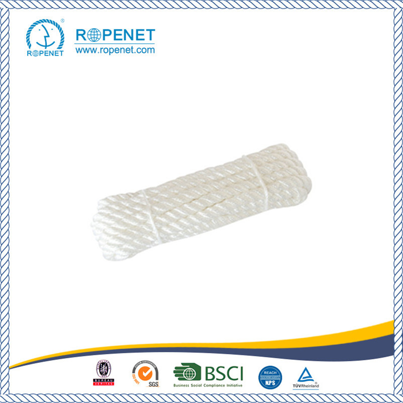 OEM Factory PP Multifilament Rope for Sale