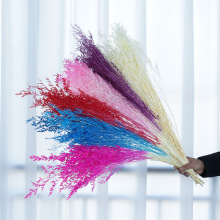 Natural Eternal Flowers - Preserved Limonium Grass for Home Decoration