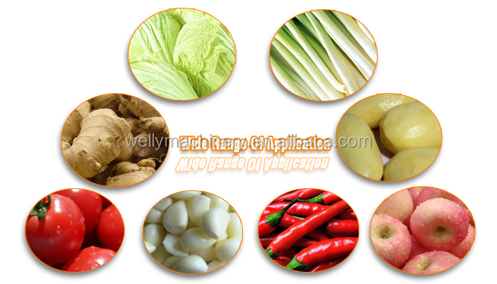 Factory price automatic mashed potato grinding machine/chilli paste machine/ginger garlic paste making machine
