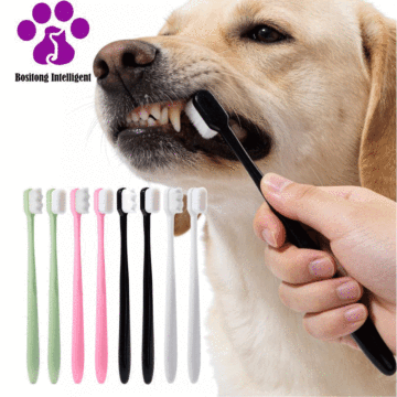 Pet Toothbrush in Four Shades for Better Cleaning
