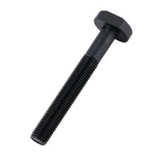 High-Strength Carbon Steel T-Bolt