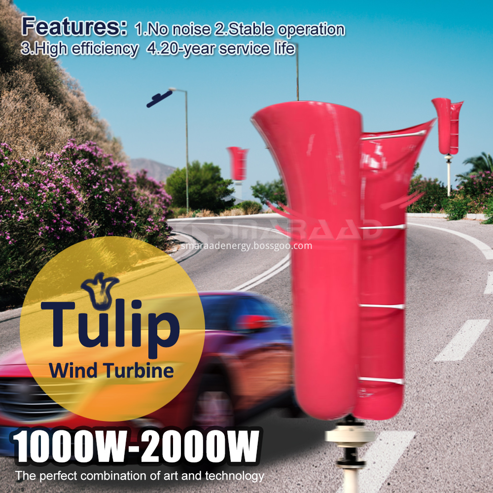 FL1KW-Vertical Wind Turbine 4