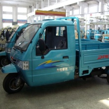 250cc Three Wheel Motorcycle