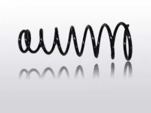 Universal quality springs 54010-90J73P10