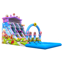 Commercial Big Adult Water Slide with Pool - Inflatable Backyard Water Fun