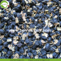 Harga Kilang Buah Pemakanan Wild Black Wolfberry