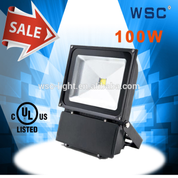 ip65 high quality ul 100w led lights for garden