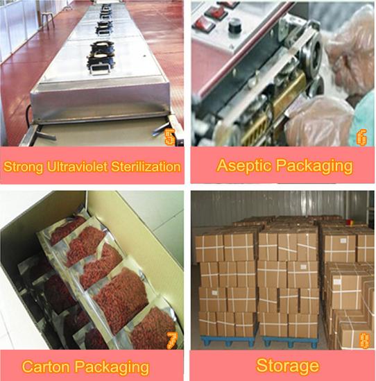 Goji berry sterilization, packing, and storage