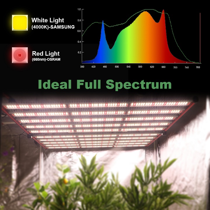 สไตล์ดาวอังคารเติบโตเบา 1000W Samsung LM301B