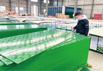 Plywood for residential construction