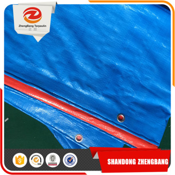 China PE Tarpaulin plastic sheets