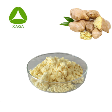 Extrato de raiz de gengibre Solubilidade de água de gingerol anti-oxidante