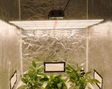 New Model Led Grow Light 640W