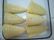 567g canned bamboo shoot whole