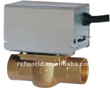 electric valve