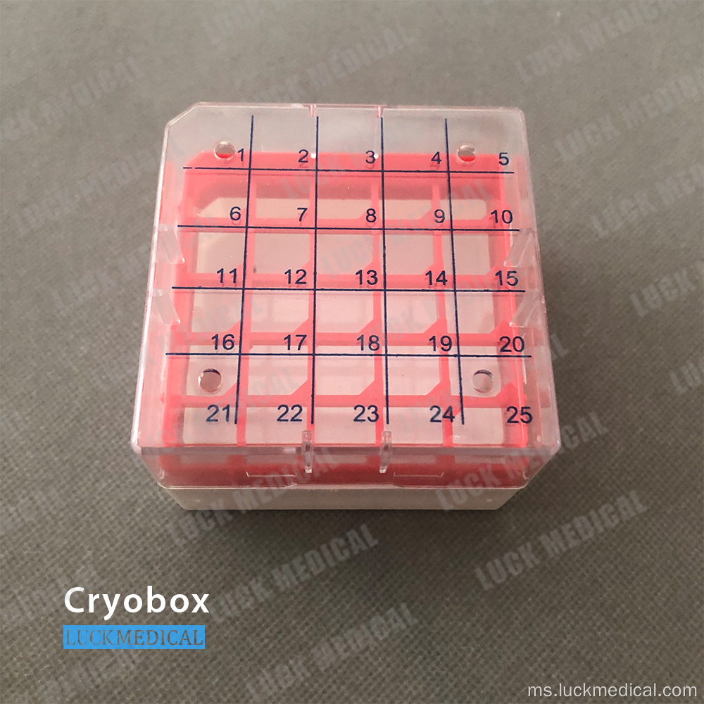 5x5 25 Tempat Cryotube Box Eksport ke Sepanyol