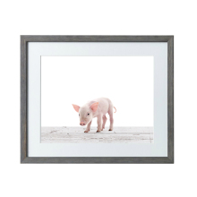 Little pig design paper wall hanging