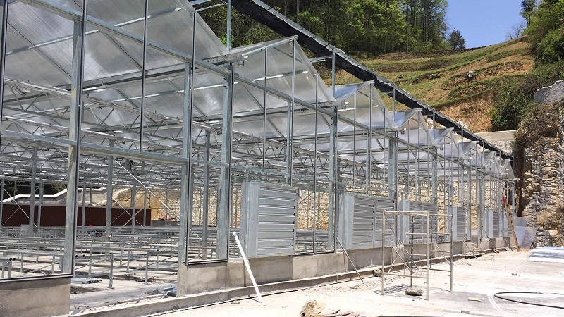 Qingcheng Agriculture establece un proyecto de demostración de invernaderos de vidrio en las montañas del norte de Guizhou Qingcheng Agriculture Establishes Glass Greenhouse Demonstration Project in the Mountains of Northern Guizhou