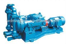 Diaphagm Pump/electric diaphragm pump/electric double diaphragm pump
