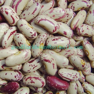 New Crop Dry Red Speckled Sugar Beans