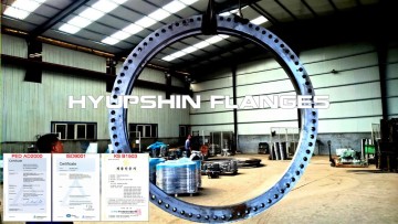 BS4504 Slip On Plate PLRF PN16 Forging Flanges