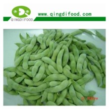 FROZEN GREEN SOYA BEENS