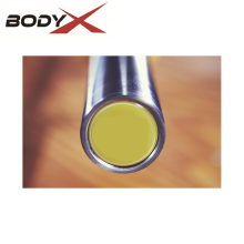 Woman's 15 KG Weightlifting Barbell