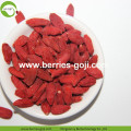 Factory Wholesale Low Sugar Diet Wolfberry