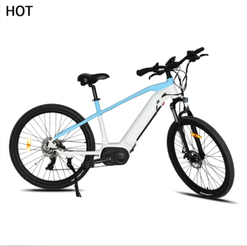 Wholesale Electric Bike Framesets and Components