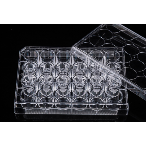 PC Memberane Cell Culture Inserts for 24-well plates
