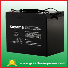 High Performance 80ah 12V Storage Battery for UPS